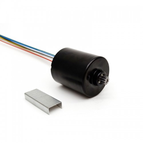 20Pcs TTMotor TEC3640 Φ36mm 12V/24V 3 Phase Brushless DC Motor BLDC Motor 550g.cm 5600RPM/3200RPM