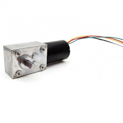 15Pcs 12V/24V Permanent Magnet DC Worm Gear Motor TWG4058-TEC3650 7W/10.9W Shaft 6mm With Worm Gearbox