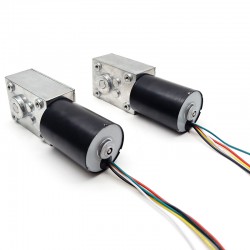 15Pcs 12V/24V Permanent Magnet DC Worm Gear Motor TWG4058-TEC3650 7W/10.9W Shaft 6mm With Worm Gearbox