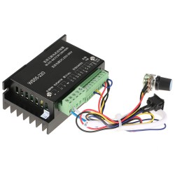 3 Phase BLDC Motor Driver WS55-220 Brushless DC Motor Controller DC20-50V 12A
