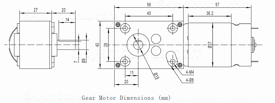 20Pcs 12V/24V Permanent Magnet DC Worm Gear Motor TWG4058-555PM Shaft 8mm 8.8W With Worm Gearbox