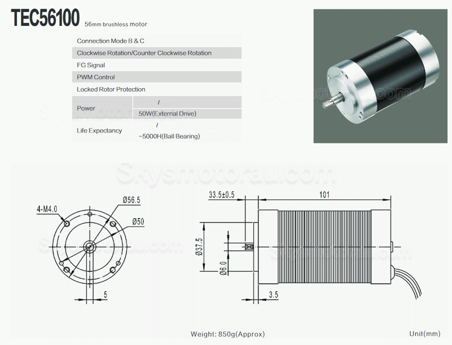 10Pcs 12V/24V 3 Phase Brushless DC Motors DC BLDC Motor TEC56100 400g.cm 3050RPM 12.5W