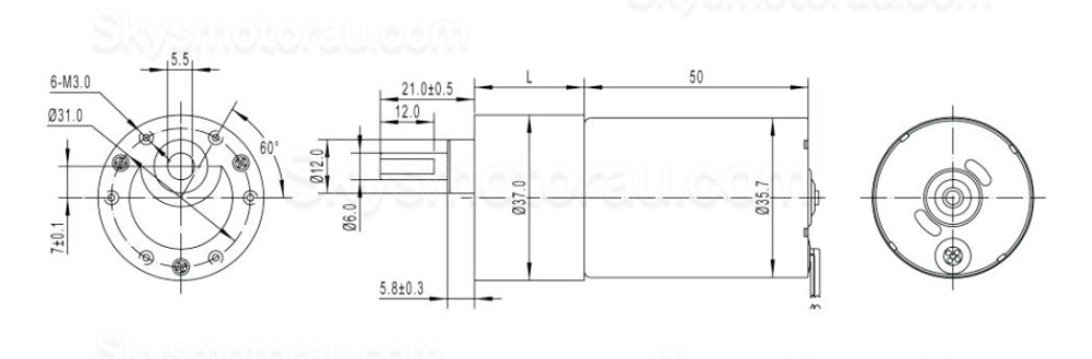 20Pcs 12V/24V Brushless Spur Gear Motor GM37-TEC3650 7W/11W with Ratio 6~810 Spur Gearbox